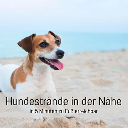 Nause Mit Sauna, Fitness, Naturteich, Parkplatz, Spielplatz Und Direkten Meerblick